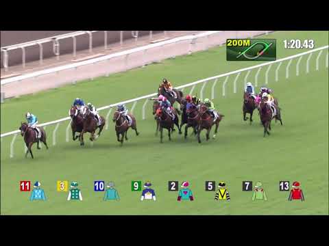 29/11/2020 (225) All For St Paul's - K C Leung