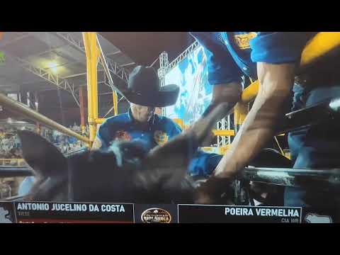 RIOLÂNDIA A GRANDE FINAL EM 🐎🐎🐎 CAVALOS 