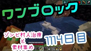 【１１１４日目】ワンブロックでハードコアな世界を生き残る