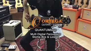 Video thumbnail for ORTEGA QUANTUMloop Multi Digital Percussion Stomp Box & Looper - Music Village by Music Village