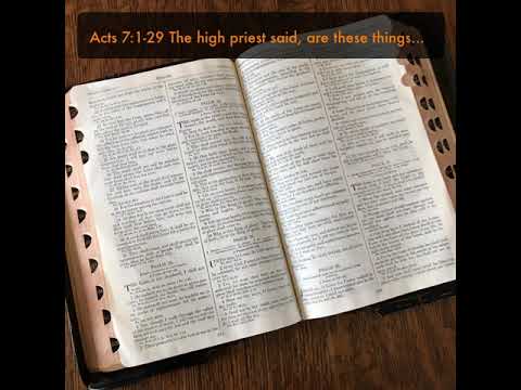 Acts 7:1-29 The high priest said, are these things so?
