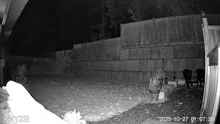 AMS event #7310-2025 caught from Salmon Arm CA