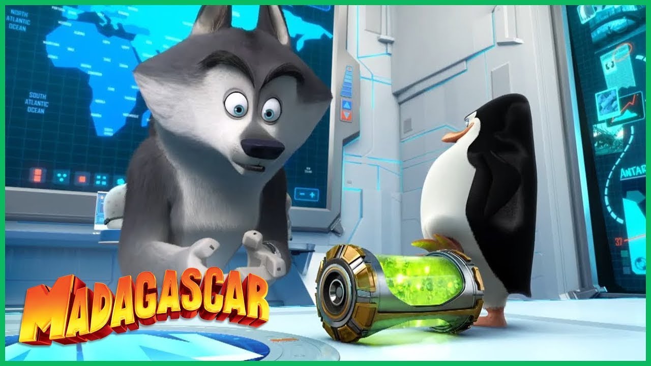 DreamWorks Madagascar em Português | Secretário Mascote | Os Pinguins de Madagascar