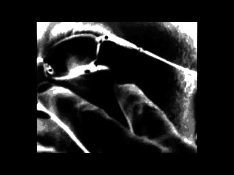 Grand Master Dee Nasty  - Hip-Hop Tradition (KingCalou Remix)