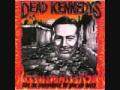 Night of the Living Rednecks - Dead Kennedys