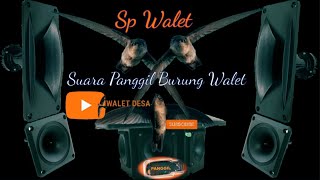 Download lagu SUARA PANGGIL WALET ANTI GALAU | SP WALET ANTI GALAU PRIBADI (ORIGINAL) mp3 Download lagu SUARA PANGGIL WALET ANTI GALAU | SP WALET ANTI GALAU PRIBADI (ORIGINAL) mp3
