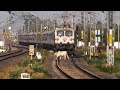 Live Train Accident Train Hits Cow Crossing Railway Line At High Speed