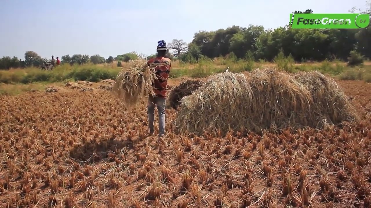 Journée internationale de la Terre nourricière:Une halte pour interpeller àla protectiondela planète