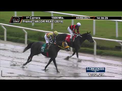 210605 c01 ONTHEFIELD