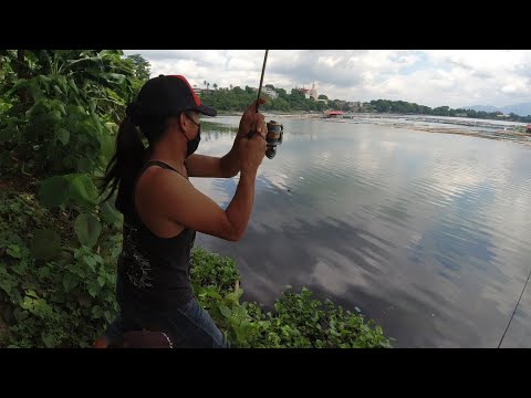 SE02EP66 Part 2 - PAMIMIWAS ng BANGUS sa SAMPALOK LAKE | CATCH CLEAN COOK - San Pablo City, Laguna