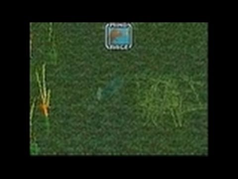 Big Catch Bass Fishing Nintendo DS