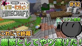 ２週間ほどの鯖生活も今日にて終幕、最後まで精一杯楽しんで！　最終日　【little Fox 金策 Minecraft】