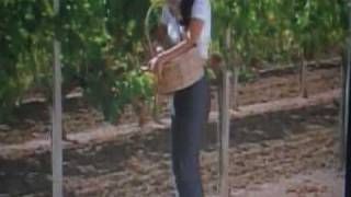 GRUPO EXTERMINADOR  EL PERDEDOR