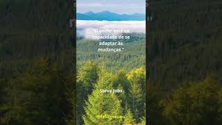 Adaptar as Mudanças