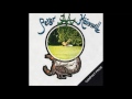 Peter Hammill - Chameleon In The Shadow Of The Night (Full Album)