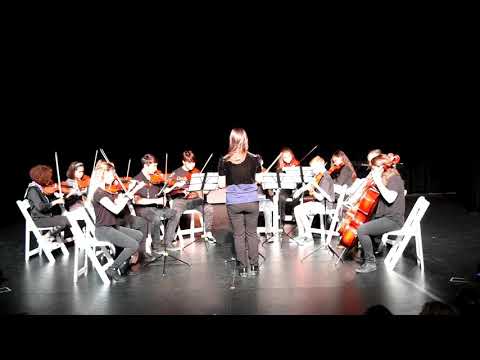 LMC String Orchestra - The Four Seasons