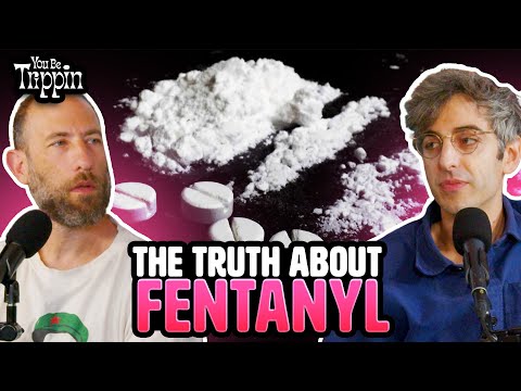 The Truth about Fentanyl w/ Hamilton Morris | You Be Trippin' Highlight