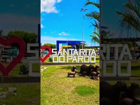 santa rita do pardo ms #santaritadopardo #matogrossodosul #santaritadopardoms #trabalhorural