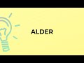 What is the meaning of the word ALDER?