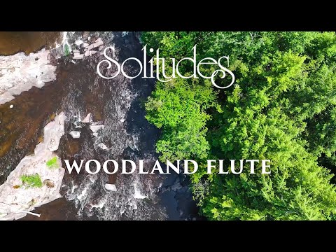 Dan Gibson’s Solitudes - Water Ballet | Woodland Flute