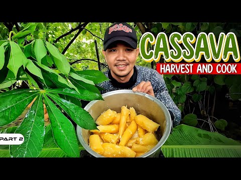 P2-Pag May Itinanim, May Aanihin - EP1093