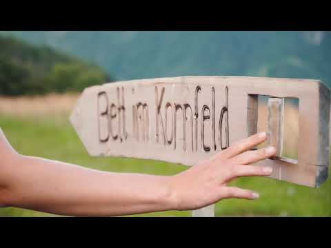 Bett im Kornfeld Jenesien Südtirol