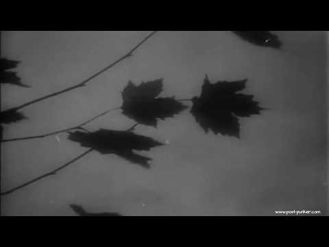 post-punk’er - Autumn Sadness | Post-Punk • Coldwave • Darkwave