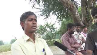 preview picture of video 'Florine in Domestic Water - Piligund, Raichur, Karnatake'