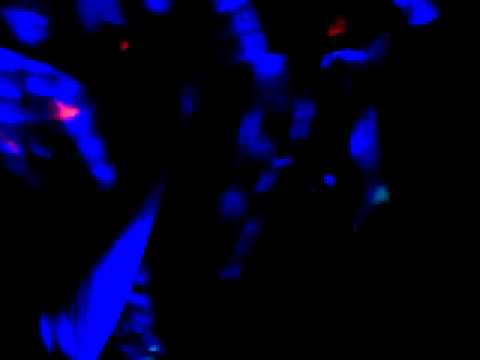 download lagu mp3 mp4 Marcao Quadrilha Junina, download lagu Marcao Quadrilha Junina gratis, unduh video klip Marcao Quadrilha Junina
