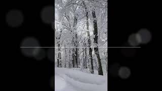 preview picture of video 'Plitvice lakes, Croatia, winter time 2018'