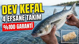 Kefal Avı İçin En İyi 4 Takım | Kefal Oltası Nasıl Yapılır? Hangi Takım Daha Avc
