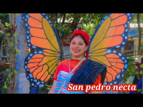 Municipio .19 de Huehuetenango tierra del buen café ☕️  idiomas: mam y español san pedro necta 