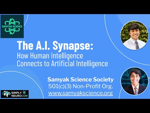 The AI Synapse: Workshop on Artificial Intelligence, Neuroscience, and Learning