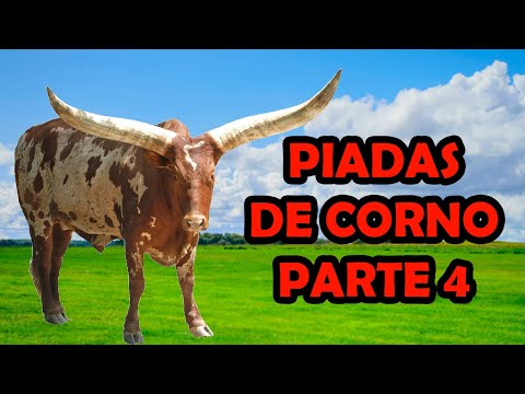 PIADAS SOBRE CORNOS PARTE 4 - HUMORISTA THIAGO DIAS