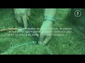 Indego 400 tondeuse robot 18V Li-Ion 400m² | video 1