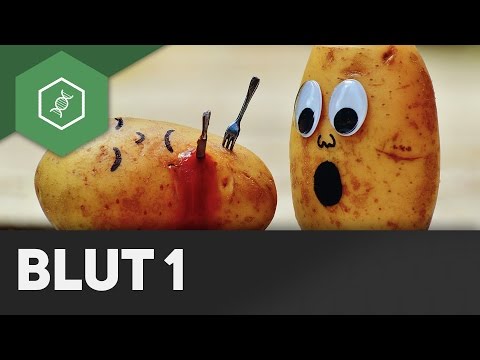 Structure and function of blood - Blood Part 1