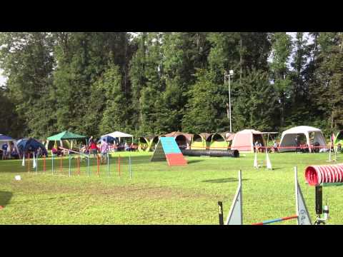 Davor i Elky KD Duplica 17.08.2014 - 1. trka A1M