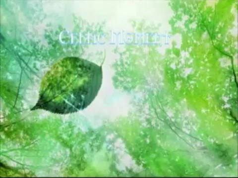 Bill Whelan - Riverdance