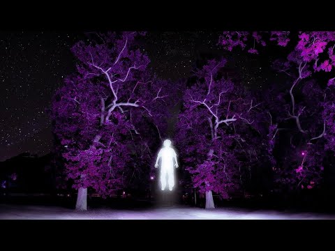 RudyWade - Decaying Inside [Official Lyric Video]