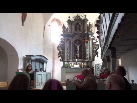 CULTURAL HERITAGE VASILE POPA -FLAUT  CONCERT-   ARCHITA C