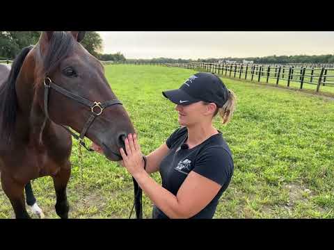 2023 Hambletonian Hopefuls -- Nancy Takter -- Tactical Approach