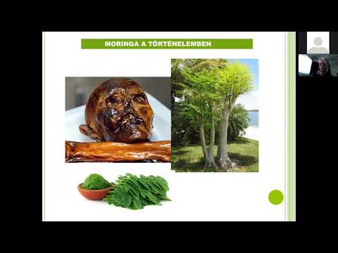 Vitalitás Extra dr Kristóf Margit Vírus-Őr készítmény