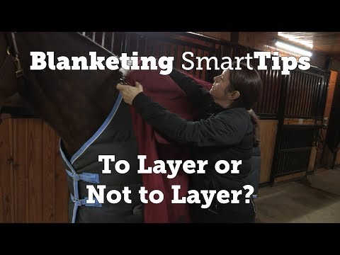 Horse Blanketing SmartTip: To Layer or Not to Layer?