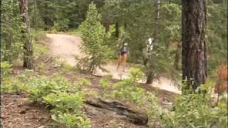Spruce Mountain - Forest Management