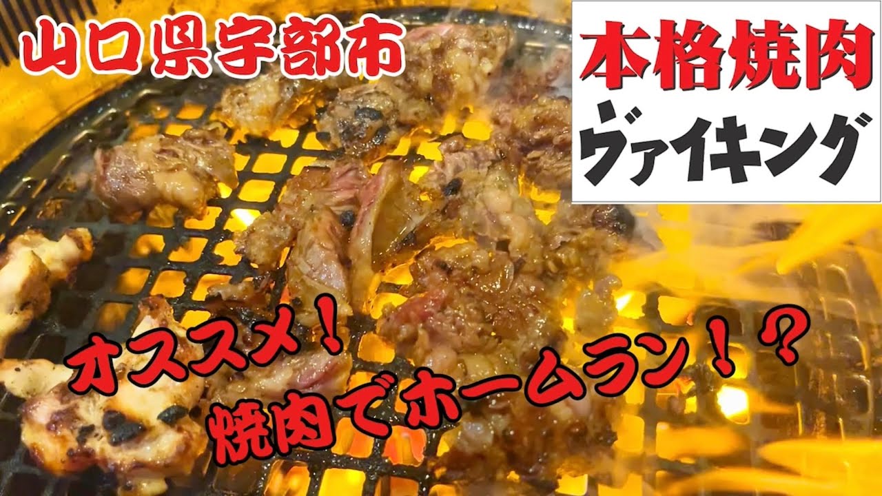 『ヴァイキング』オススメ！焼肉でホームラン！？宇部市