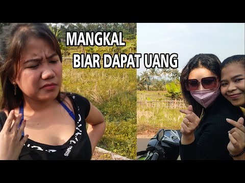 film-pendek-banci-open-bo