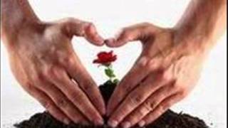 Engenheiros do hawaii nunca se sabe.wmv