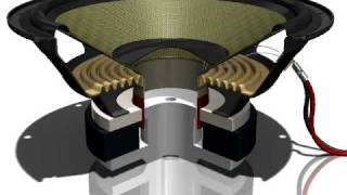 Download lagu Woofer Animation mp3 Download lagu Woofer Animation mp3