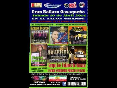 Baile 19 de Abril 2014 Empresa Valdivia Discosmax en Madera California