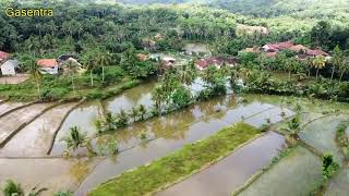 Download lagu Ayun Ambing [ Yana Kermit ] cover by Nina mp3